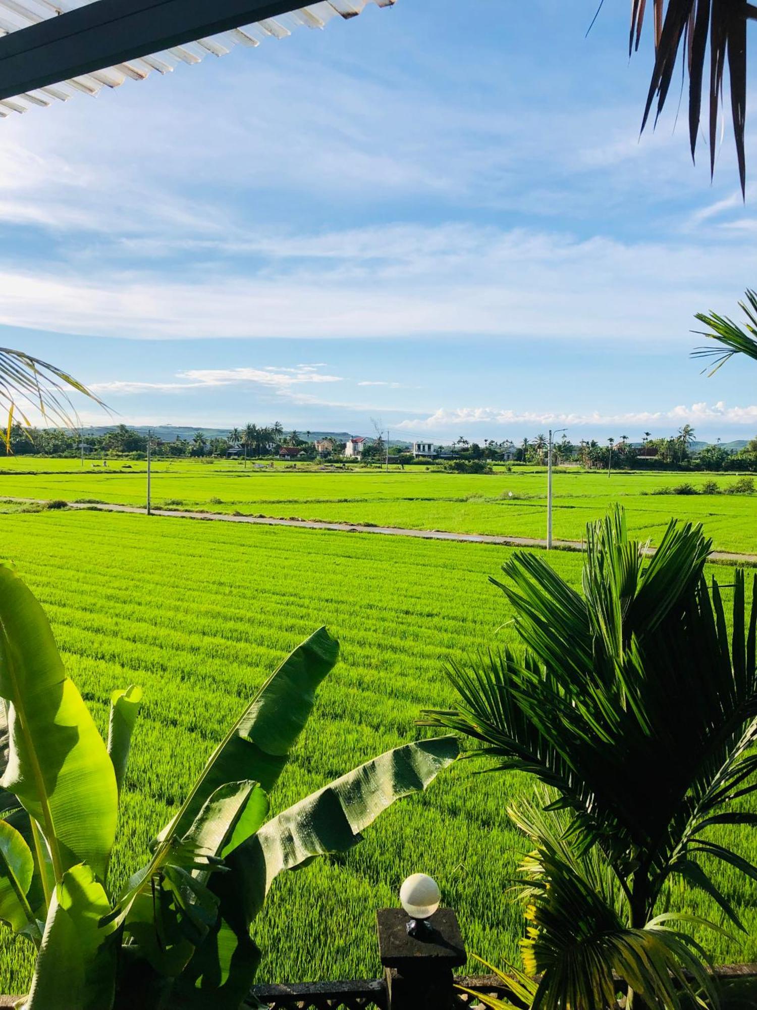 Countryside Homestay Quang Ngai Luaran gambar