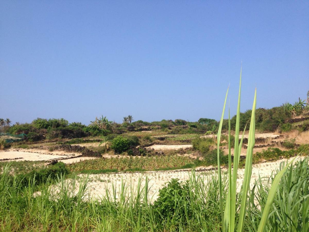 Countryside Homestay Quang Ngai Luaran gambar
